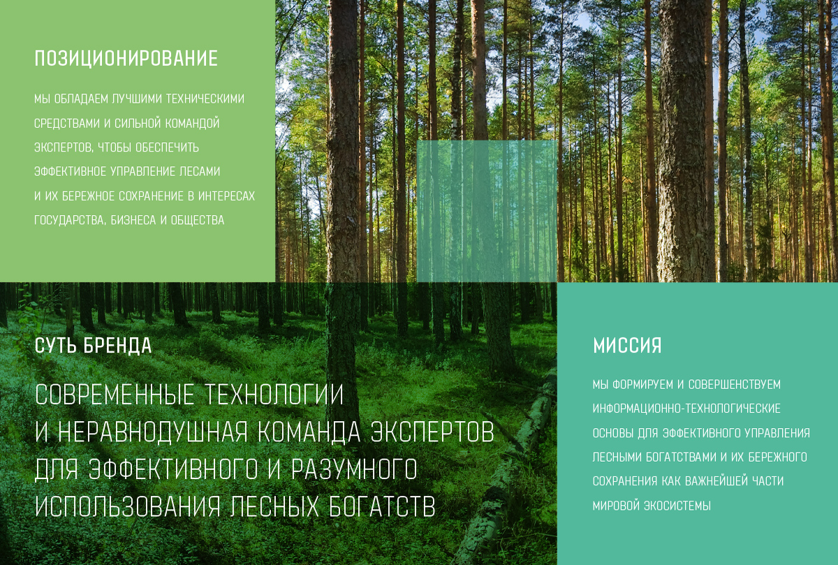 Обновление позиционирования агентства лесного хозяйства - Фото 1