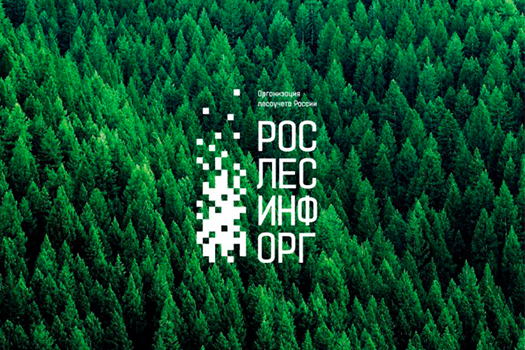 Логотип и айдентика компании «Рослесинфорг»
