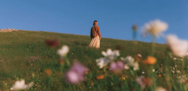 Оазис для тебя. Фирменный стиль и гайдбук социальных сетей «Экопарка»