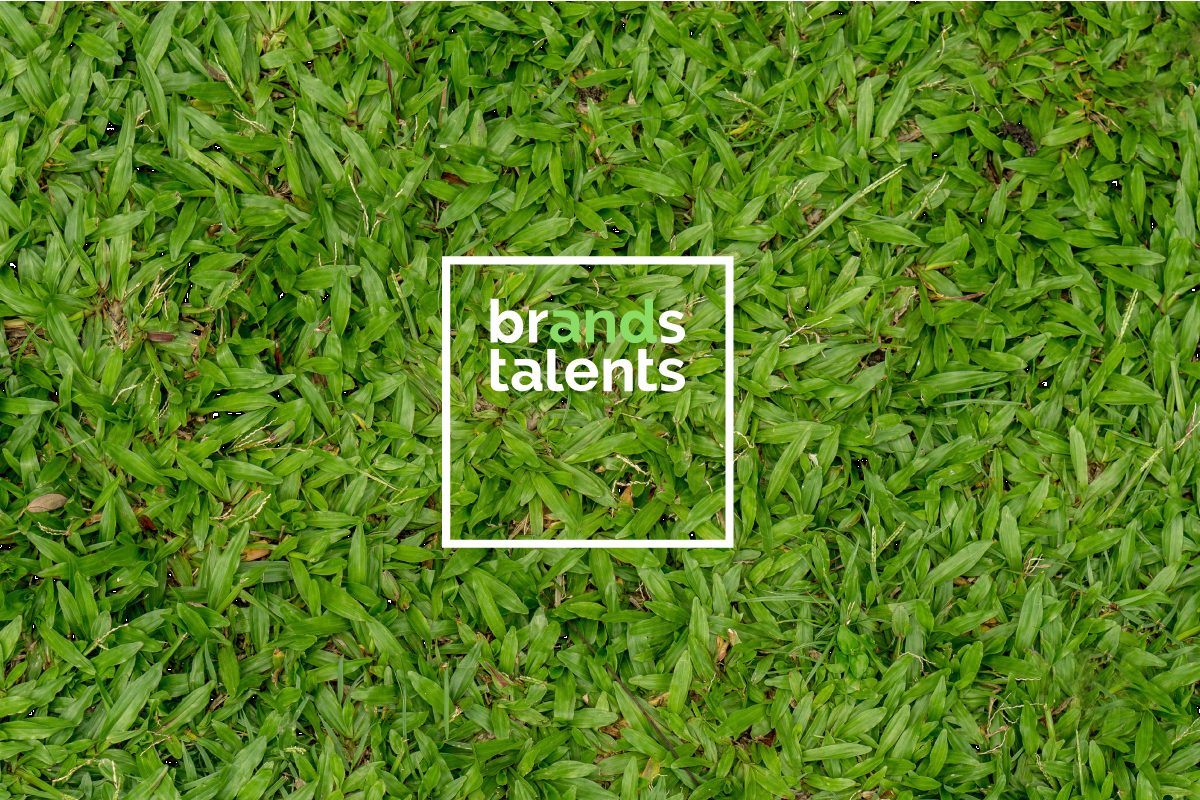 Логотип и фирменный стиль компании Brands and Talents