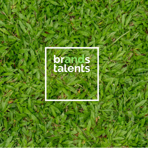 Логотип и фирменный стиль компании Brands and Talents