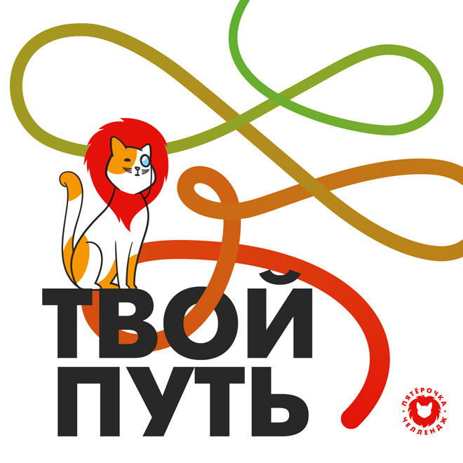 Identity and brand character of the internship program Pyaterochka Challenge