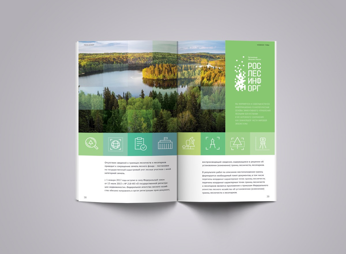 Rebranding the Federal forestry agency
